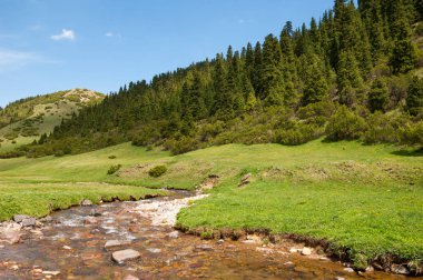 dağ, dağ, tepe. Kazakistan. Tien Shan. Takma Yaylası
