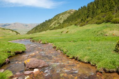 dağ, dağ, tepe. Kazakistan. Tien Shan. Takma Yaylası
