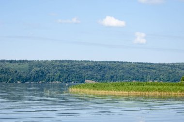 Yaz nehir sazlık ağaçlar gölgeliyor. Deniz, göl veya başka bir kanaldaki böyle dere akan su büyük bir doğal akışı.