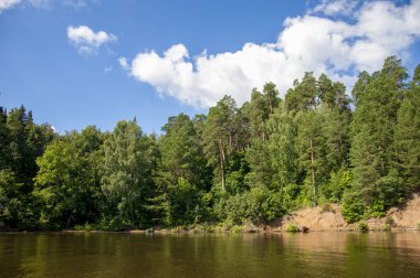 Yaz nehir sazlık ağaçlar gölgeliyor. Deniz, göl veya başka bir kanaldaki böyle dere akan su büyük bir doğal akışı.