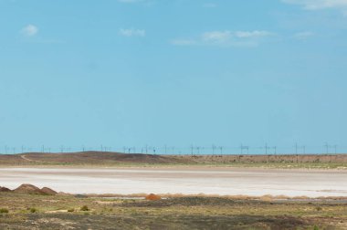  Salin. Doğada fotoğrafı