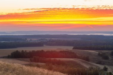 huş ağacı orman manzaralı dağ (gündoğumu gün batımında üzerinden)