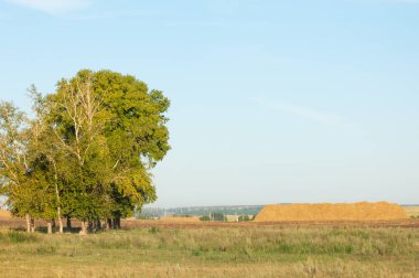 Yaz aylarında taze sürülmüş alan, saman yığınları, kavak