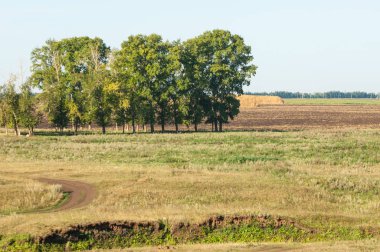 Yaz aylarında taze sürülmüş alan, saman yığınları, kavak