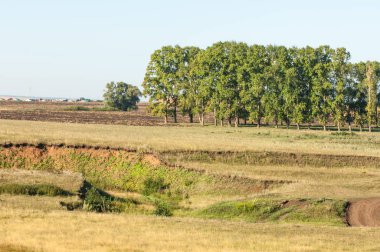 Yaz aylarında taze sürülmüş alan, saman yığınları, kavak