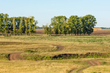 Yaz aylarında taze sürülmüş alan, saman yığınları, kavak