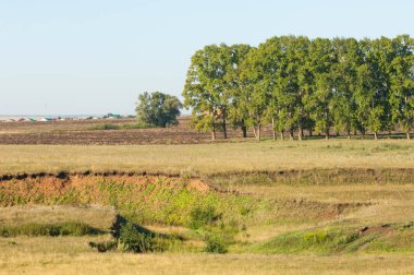 Yaz aylarında taze sürülmüş alan, saman yığınları, kavak