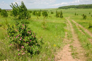 geometrické papírové abeceda