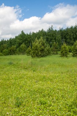 geometrické papírové abeceda