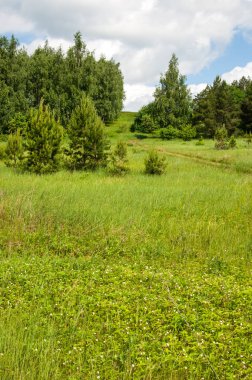 geometrické papírové abeceda