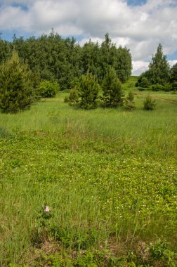 geometrické papírové abeceda