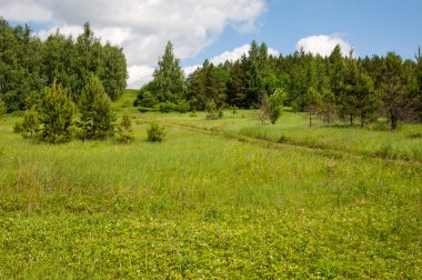 geometrické papírové abeceda