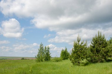 geometrické papírové abeceda