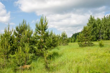 geometrické papírové abeceda