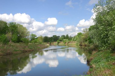 Vezi de mongolă pustie zona - înflorire Lunca şi zada lemn - sayan munte - gorhi-terelj national park - Parcul mongolianational - mongolia