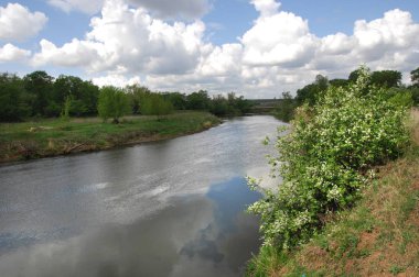 Vezi de mongolă pustie zona - înflorire Lunca şi zada lemn - sayan munte - gorhi-terelj national park - Parcul mongolianational - mongolia