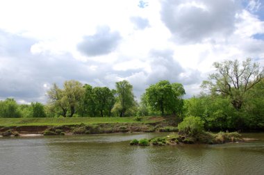 Yaban elması ve yaban elması. Malus, gülgiller (Rosaceae) familyasından bir elma ağacı cinsidir.