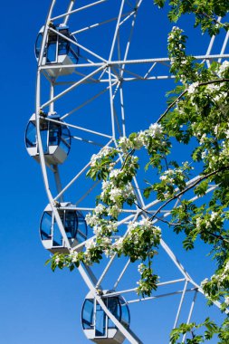 Şehir Parkı içinde dönme dolap. Kırmızı Dev dönme dolap ile berrak mavi gökyüzünün yarısı. Büyük vintage dalgalanmalar 