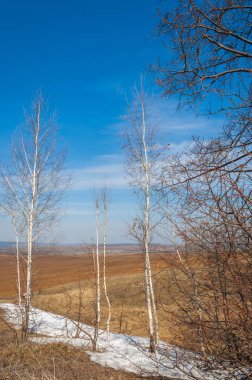 Bahar manzara. bahar alanında son kar. engebeli arazi. ağaçların yaprakları olmadan. ilk sıcak günleridir