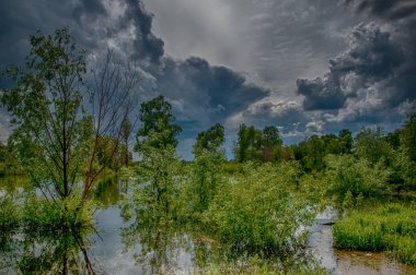 Xdr etkisi. Yüksek kaynak suyu. Baharın başlangıcı nehrinde güneşli bir günde. Ağaç su üzerine eğildi ve yansıtıyordu. Bulutlar cennet. Bahar manzara. Bahar geliyor.