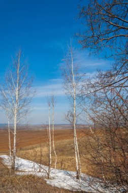 Bahar manzara. bahar alanında son kar. engebeli arazi. ağaçların yaprakları olmadan. ilk sıcak günleridir