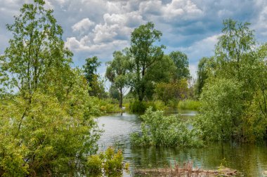 sel suları bastığında. bir sel sonucu olarak taşan su.