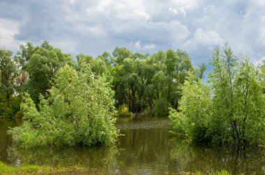 sel suları bastığında. bir sel sonucu olarak taşan su.