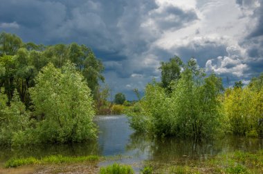 sel suları bastığında. bir sel sonucu olarak taşan su. Yüksek kaynak suyu. Baharın başlangıcı nehrinde güneşli bir günde. Bulutlar cennet. Bahar manzara. Bahar geliyor.