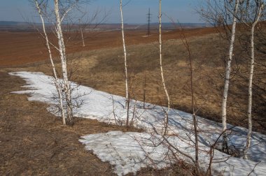 Bahar manzara. bahar alanında son kar. engebeli arazi. ağaçların yaprakları olmadan. ilk sıcak günleridir