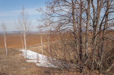 Bahar manzara. bahar alanında son kar. engebeli arazi. ağaçların yaprakları olmadan. ilk sıcak günleridir