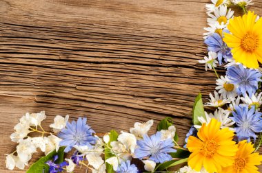 Kır çiçekleri. Stüdyo fotoğrafçılığı. Papatya, Yasemin, peygamber çiçeği, Doronicum, tahtaya