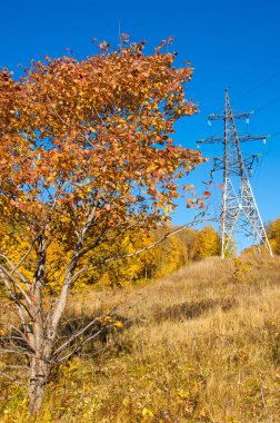 Sonbahar sahneleri. Energo. Yeşil enerji, enerji santrali, yakın yüksek voltajlı güç hatları kavramı. Güç Dağıtım İstasyonu. yüksek voltajlı elektrik iletim bir pilon siluet kulenin.