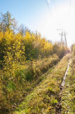 Sonbahar sahneleri. Energo. Yeşil enerji, enerji santrali, yakın yüksek voltajlı güç hatları kavramı. Güç Dağıtım İstasyonu. yüksek voltajlı elektrik iletim bir pilon siluet kulenin.