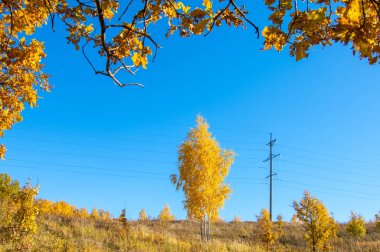 Sonbahar sahneleri. Energo. Yeşil enerji, enerji santrali, yakın yüksek voltajlı güç hatları kavramı. Güç Dağıtım İstasyonu. yüksek voltajlı elektrik iletim bir pilon siluet kulenin.