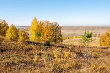 Sonbahar manzara, ağaç meşe akçaağaç sonbahar renkleri, eski çim boyanmıştı. Güzel renkli sonbahar yaprakları yeşil, sarı, turuncu, kırmızı topluluğu