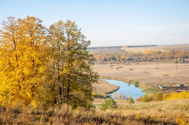 Sonbahar manzara, ağaç meşe akçaağaç sonbahar renkleri, eski çim boyanmıştı. Güzel renkli sonbahar yaprakları yeşil, sarı, turuncu, kırmızı topluluğu