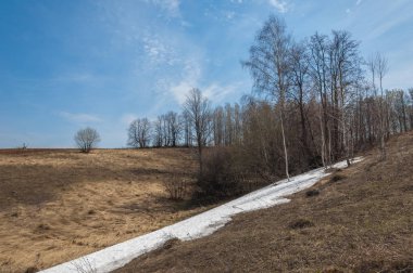 Bahar manzara. bahar alanında son kar. engebeli arazi. ağaçların yaprakları olmadan. ilk sıcak günleridir