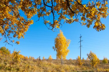 Sonbahar sahneleri. Energo. Yeşil enerji, enerji santrali, yakın yüksek voltajlı güç hatları kavramı. Güç Dağıtım İstasyonu. yüksek voltajlı elektrik iletim bir pilon siluet kulenin.