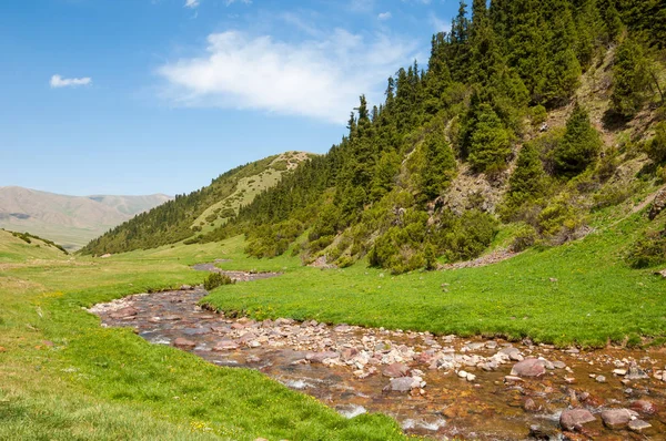 dağ, dağ, tepe. Kazakistan. Tien Shan. Takma Yaylası