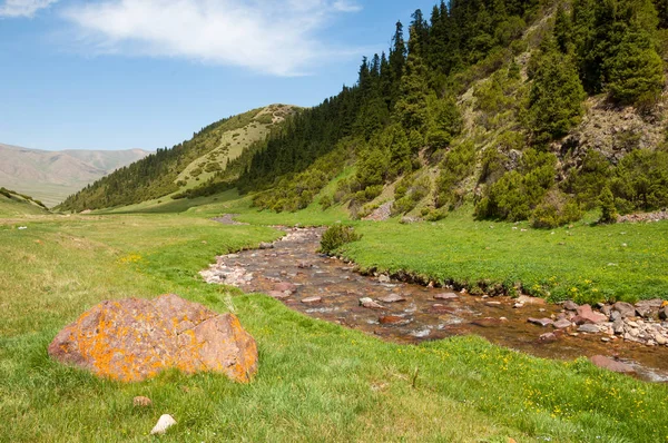 Montaña Monte Colina Kazajstán Tien Shan Meseta Assy — Foto de Stock