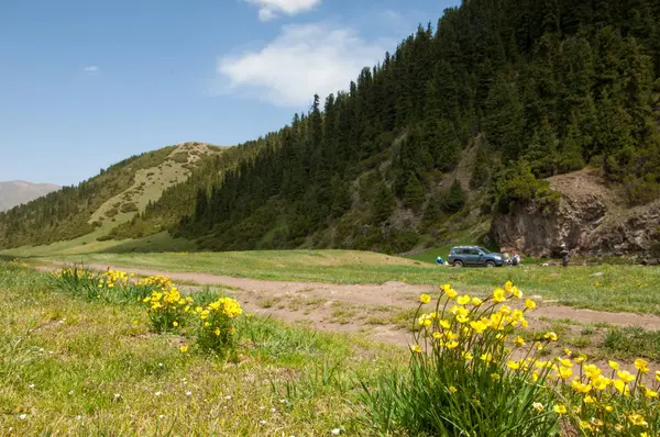 Dağ Dağ Tepe Kazakistan Tien Shan Takma Yaylası — Stok fotoğraf