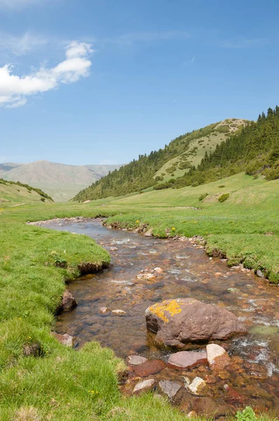 dağ, dağ, tepe. Kazakistan. Tien Shan. Takma Yaylası