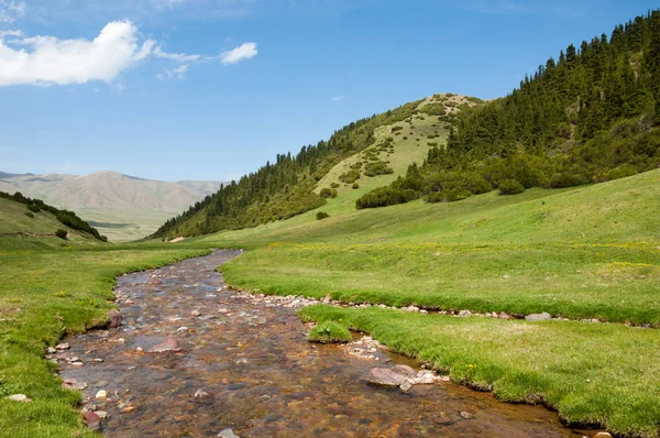 dağ, dağ, tepe. Kazakistan. Tien Shan. Takma Yaylası