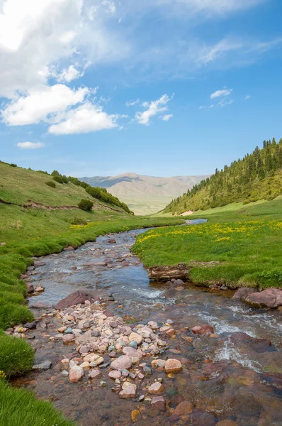 dağ, dağ, tepe. Kazakistan. Tien Shan. Takma Yaylası