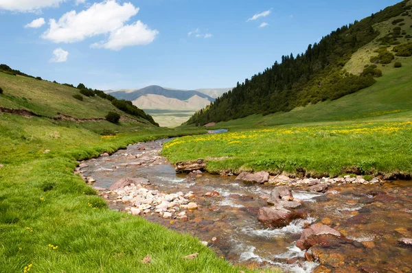 dağ, dağ, tepe. Kazakistan. Tien Shan. Takma Yaylası