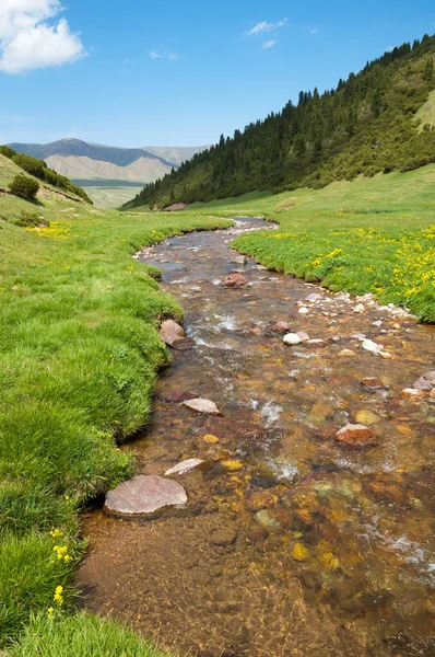 dağ, dağ, tepe. Kazakistan. Tien Shan. Takma Yaylası