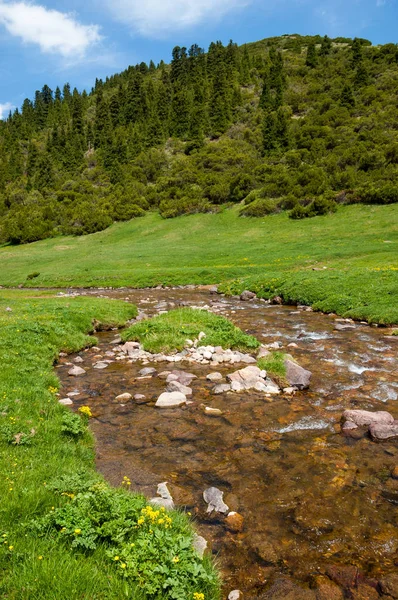 Góra Góra Wzgórze Kazachstan Tien Shan Assy Płaskowyżu — Zdjęcie stockowe