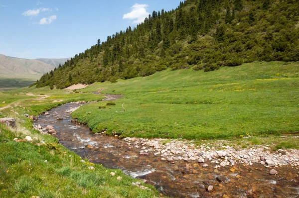 Montaña Monte Colina Kazajstán Tien Shan Meseta Assy — Foto de Stock