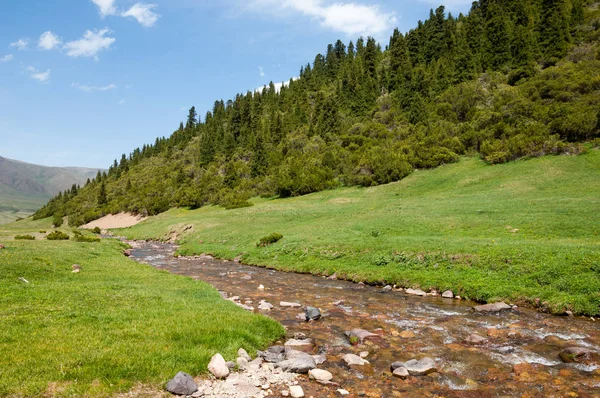 Góra Góra Wzgórze Kazachstan Tien Shan Assy Płaskowyżu — Zdjęcie stockowe