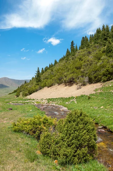 Mountain Mount Hill Kazakhstan Tien Shan Assy Plateau — Stock Photo, Image